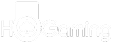 HO Gaming